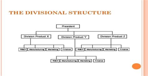 Differences between Functional and Divisional Structure - QS Study