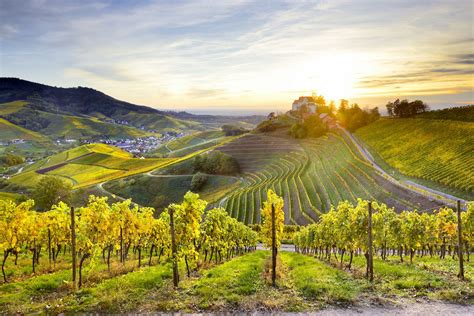 German Wine: 5 Travel Itineraries for Sampling the Country's Best