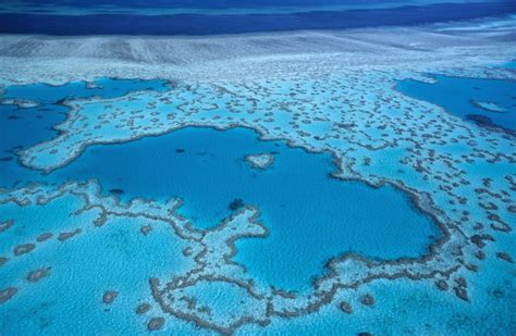 La N-Calédonie s'organise pour gérer l'immense parc naturel de la mer de corail