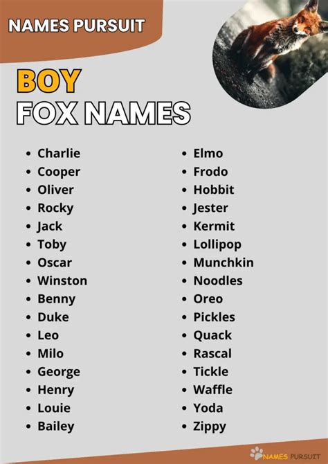 Boy Fox Names [300+ Popular Naming Ideas]