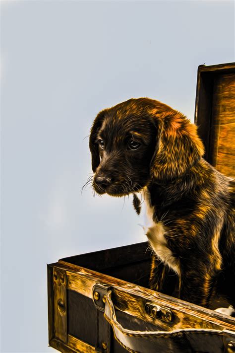 Oil Painting Puppy With Suitcase Free Stock Photo - Public Domain Pictures