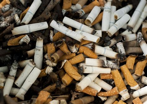 Grant to implement tobacco use prevention policies - Cupertino Today