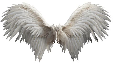 Realistic Style Angel's Wings No Background Perfect for Photograph Backdrop Ai Generated ...