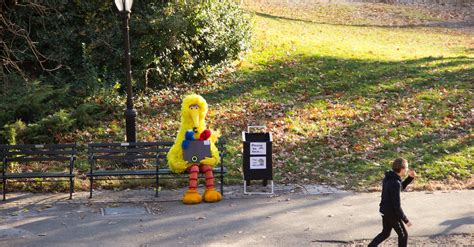 Free stock photo of big bird, central park, new york