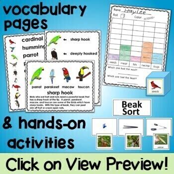 Bird Beak Animal Adaptations Traits Structures and Functions of Body Parts