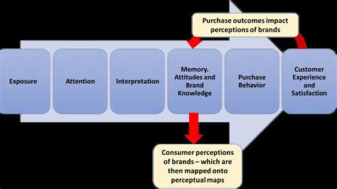 The Perceptual Process