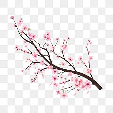 Tree Branch Vector Art PNG Images | Free Download On Pngtree