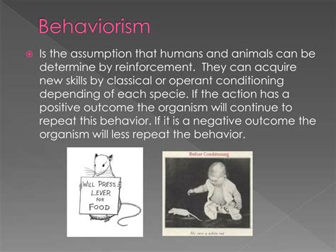 PPT - B.F. Skinner Behaviorism PowerPoint Presentation - ID:265171