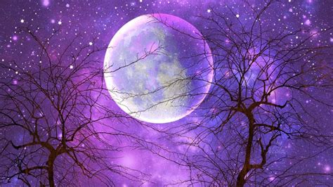 Cielo notturno viola con la luna piena - puzzle online