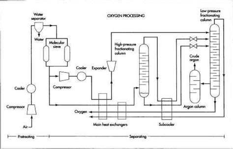 Which Process Produces Oxygen | Absorbing Education