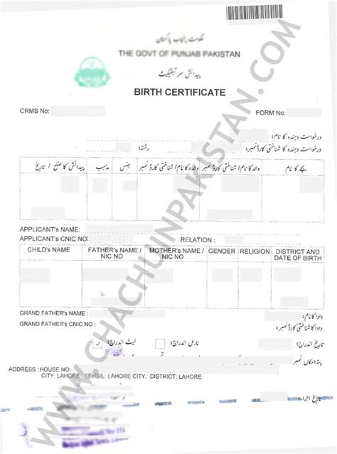 View NADRA Birth Certificate Lahore Punjab Sample