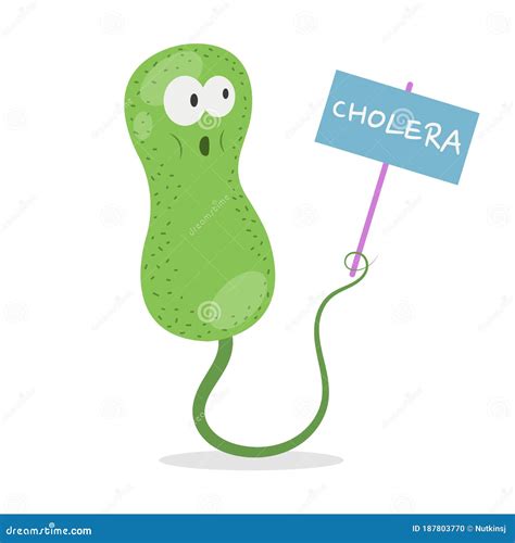 Cholera Cell Anatomy - Isolated On White Stock Photography ...