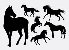 Running Horse Silhouette Free Stock Photo - Public Domain Pictures