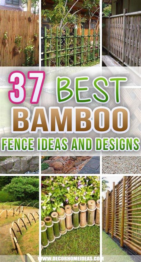 the best bamboo fence ideas and designs for backyards, fences, trees ...