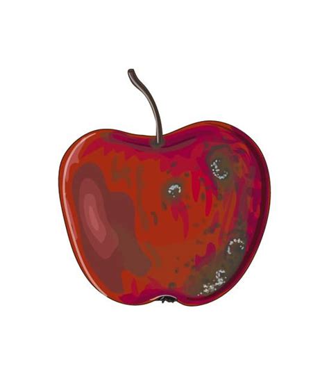 Rotten Apple Illustrations, Royalty-Free Vector Graphics & Clip Art ...