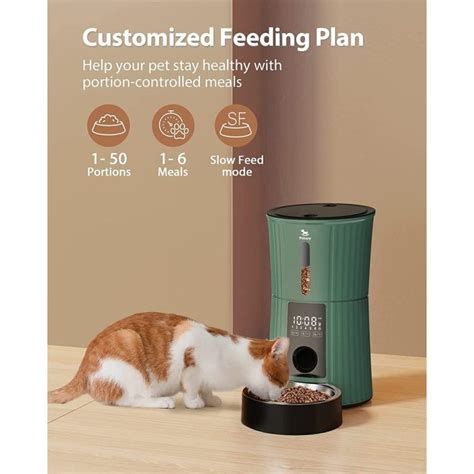 Automatic Programable Timed Cat Food Dispenser – CatPrestige.com