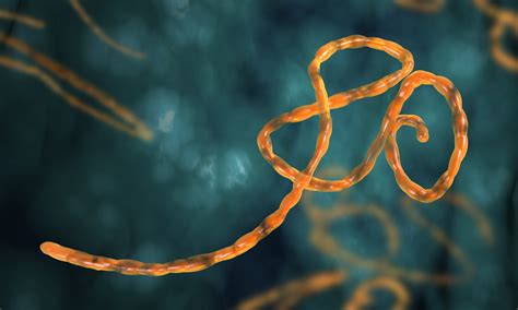 New Ebola treatment trial starts in Sierra Leone | University of Oxford