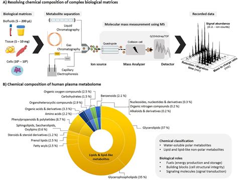 Metabolomics meets lipidomics: Assessing the small molecule component of metabolism - Gallart ...