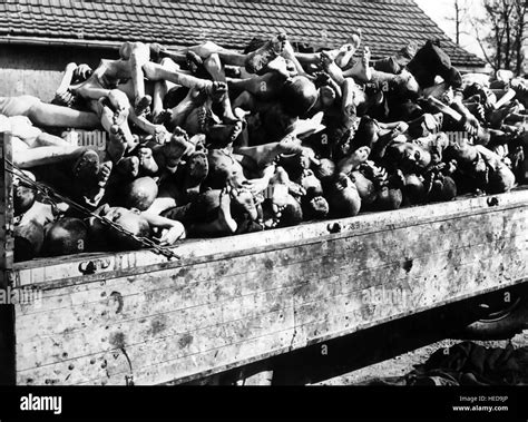 BUCHENWALD CONCENTRATION CAMP after liberation by American forces in ...