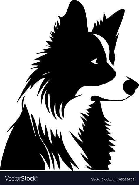 Border collie - minimalist and flat logo Vector Image