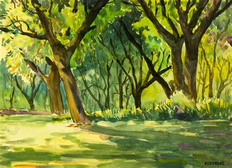 Watercolor painting original landscape colorful of forest park - stock ...