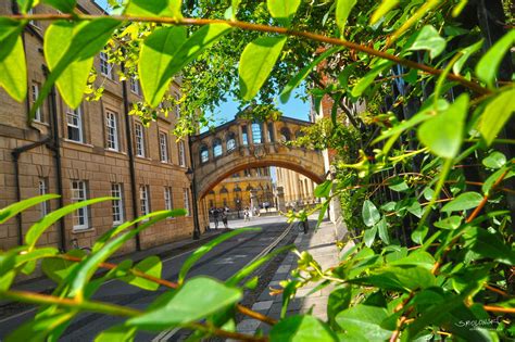 Oxford Pictures • The Bridge of Sighs, Oxford