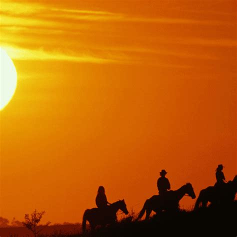 Sunset Horse Riding Tour - The Bucket List Company