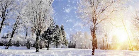 Nephrocare - About Us - News - The beautiful sides of winter