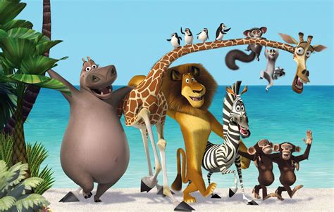 Wallpaper sea, palm trees, cartoon, Leo, Madagascar, penguins, giraffe, Zebra, three, monkey ...