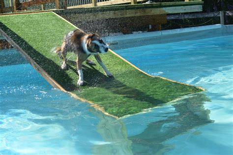 The top 22 Ideas About Diy Dog Ramp for Above Ground Pool – Home, Family, Style and Art Ideas