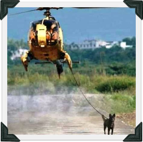 Quotes Funny Military Helicopter. QuotesGram