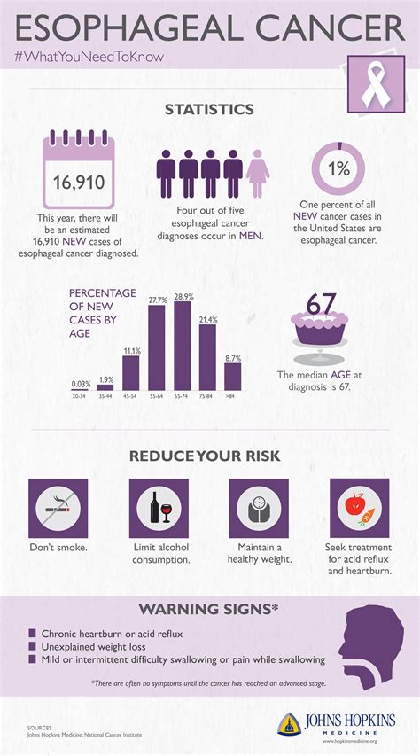 Esophageal Cancer: Infographic | Johns Hopkins Medicine