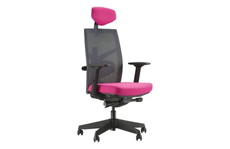 Tune Ergonomic Office Chair - Antarc