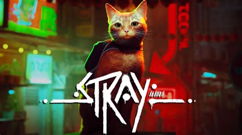 'Stray' Video Game Memes Have Invaded Twitter and They're Purrfect | The Mary Sue