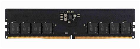 DDR5 RAM release date with Intel and AMD, ECC now common