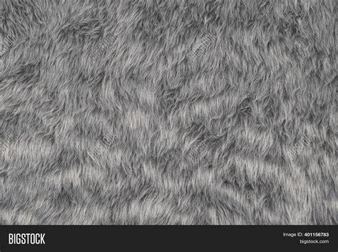 Gray Fur Texture Image & Photo (Free Trial) | Bigstock