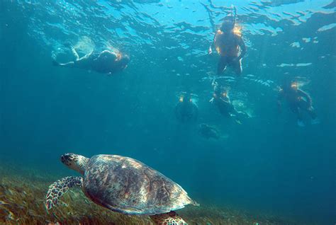 Snorkeling in Cancun, Things to do Cancun