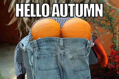 30 Hilarious Autumn Memes To Get You In The Fall Spirit