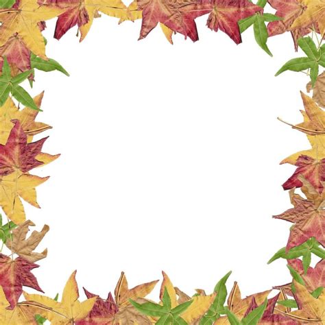 Leaves-Overlay2.png (2400×2400) | Fall borders, Scrapbook borders ...