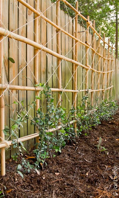 Trellis Love | Honeysuckle Life | Bamboo trellis, Garden trellis, Garden vines