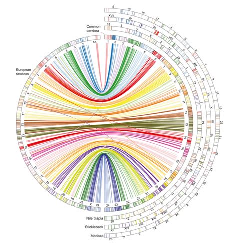 genome maps Archives - ScienceOpen Blog