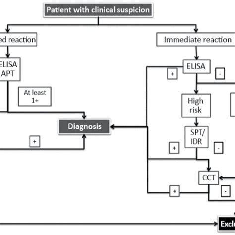 Diagnostic process of amoxicillin allergy | Download Scientific Diagram