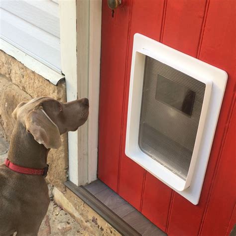 Large Dog Door into a red wooden doors | Large dog door, Dog door, Pet doors