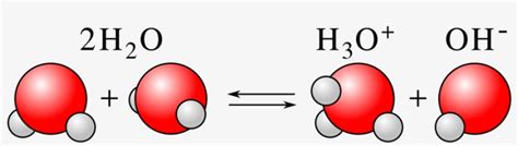 The Hydroxide Can React With The Hydronium Ion To Form - Acids And ...