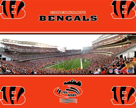 Cincinnati Bengals stadium wallpaper