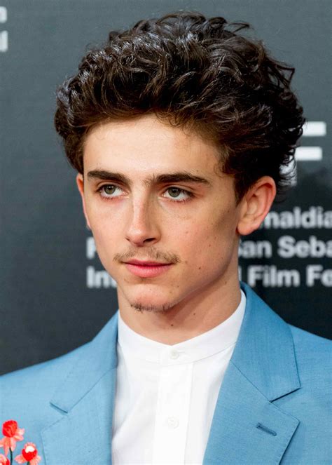 Timothee Chalamet Hairstyle Reddit - Timothee Chalamet Breaks Silence ...