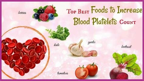 What Causes A Dog To Have Low Platelets