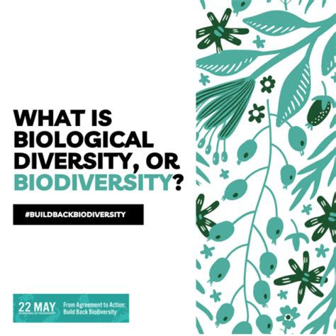 World Biodiversity Day 2023 – from agreement to action, build back ...