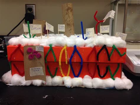 Cell Membrane Model Project Labeled - Deriding-Polyphemus