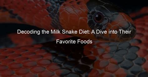 Decoding the Milk Snake Diet: A Dive into Their Favorite Foods - My ...